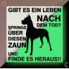 phosphoreszierendes Schild « Warnung vor dem  Hund»