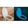 Phosphoreszierender Toilettensitz